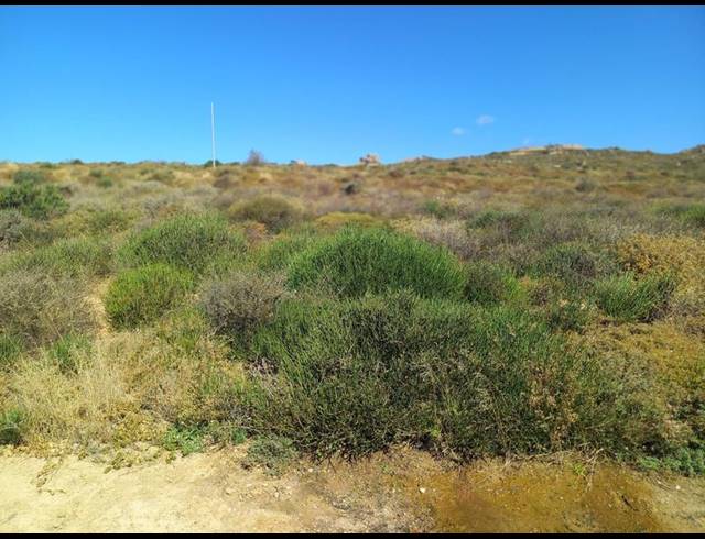 LAND FOR SALE IN ST HELENA VIEWS